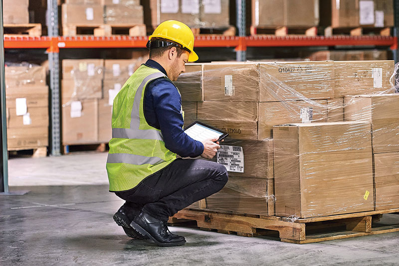 MMH2101_BP_Zebra_main800