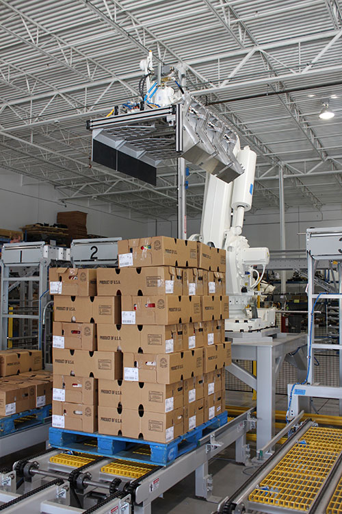 Robotic Case Palletizer Industrial Robotics Bastian Solutions