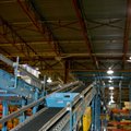 msc-tote-routing-conveyor-system