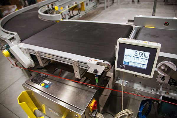 conveyor in-line scale